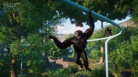 planet zoo twitter|planet zoo bug report.